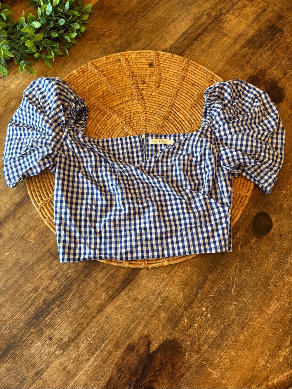 Lively Gingham Puff Sleeve Crop Top - Blue & White